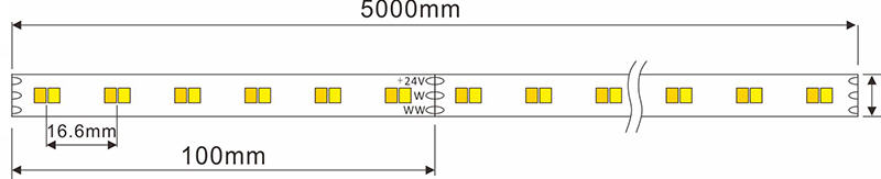  LED Strip CCT 2200K-6500K 24V 19.2W/m 120LEDs/m CRI90