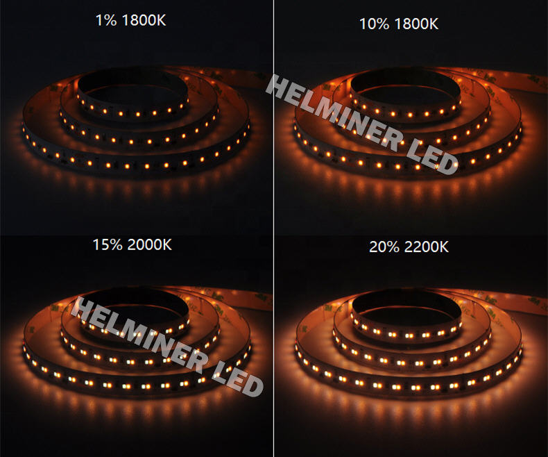  DTW LED Streifen  , Spanndecken: Beleuchtung