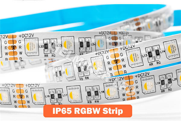   24V LED Leiste RGBW 4in1, 5m, 60 LED/m, IP20/IP65    